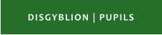 DISGYBLION | PUPILS